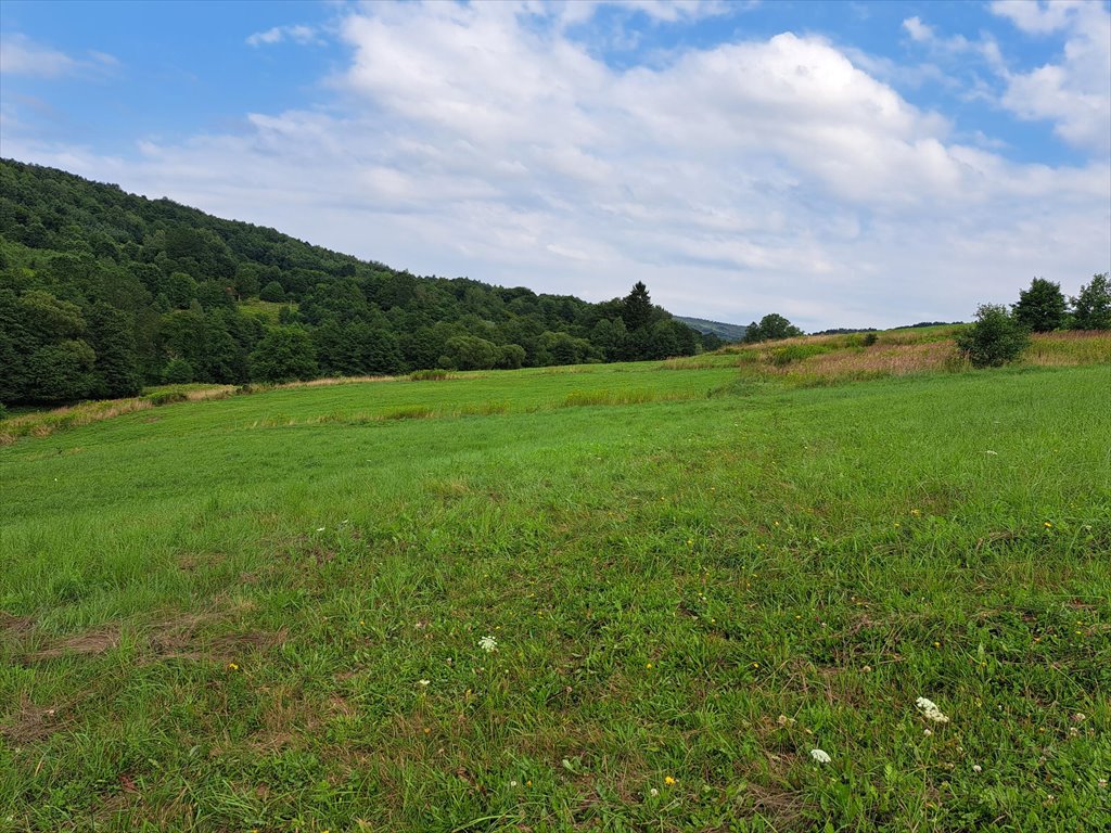 Działka rolna na sprzedaż Pietrusza Wola  5 200m2 Foto 14