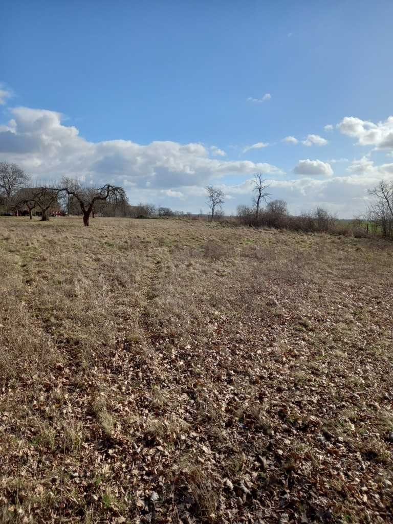 Działka inna na sprzedaż Ścinawa  3 000m2 Foto 17