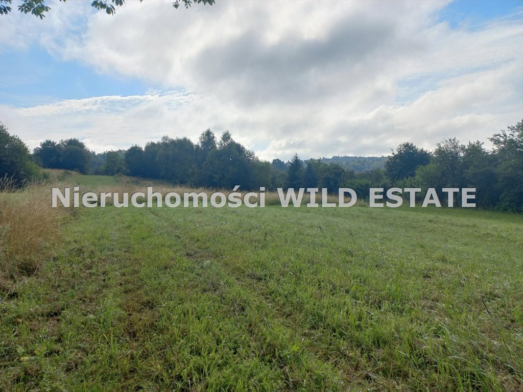 Działka bud.-rol. 29,56 ar z mediami, blisko zabudowa Lesko, Lesko  2 956m2 Foto 1