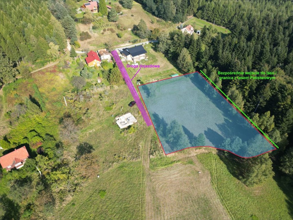 Działka budowlana na sprzedaż Odrzykoń, Leśna  3 056m2 Foto 1