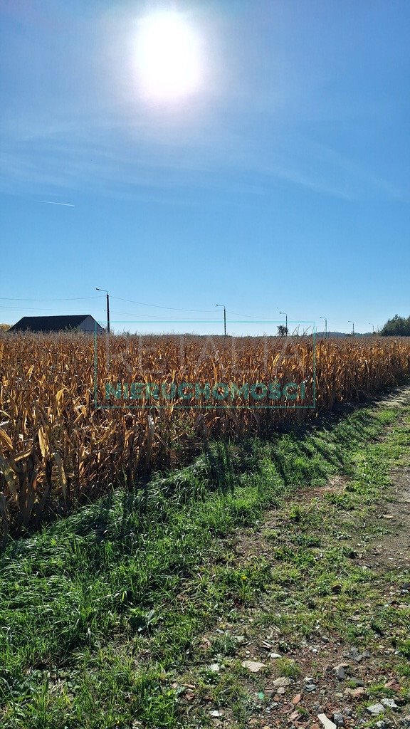 Dom na sprzedaż Nowe Faszczyce  160m2 Foto 2