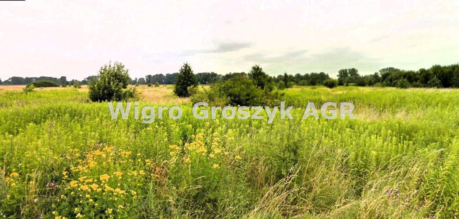 Działka rolna 1997 m² z mediami, szybki dojazd - polecam! Pieńków  1 997m2 Foto 1
