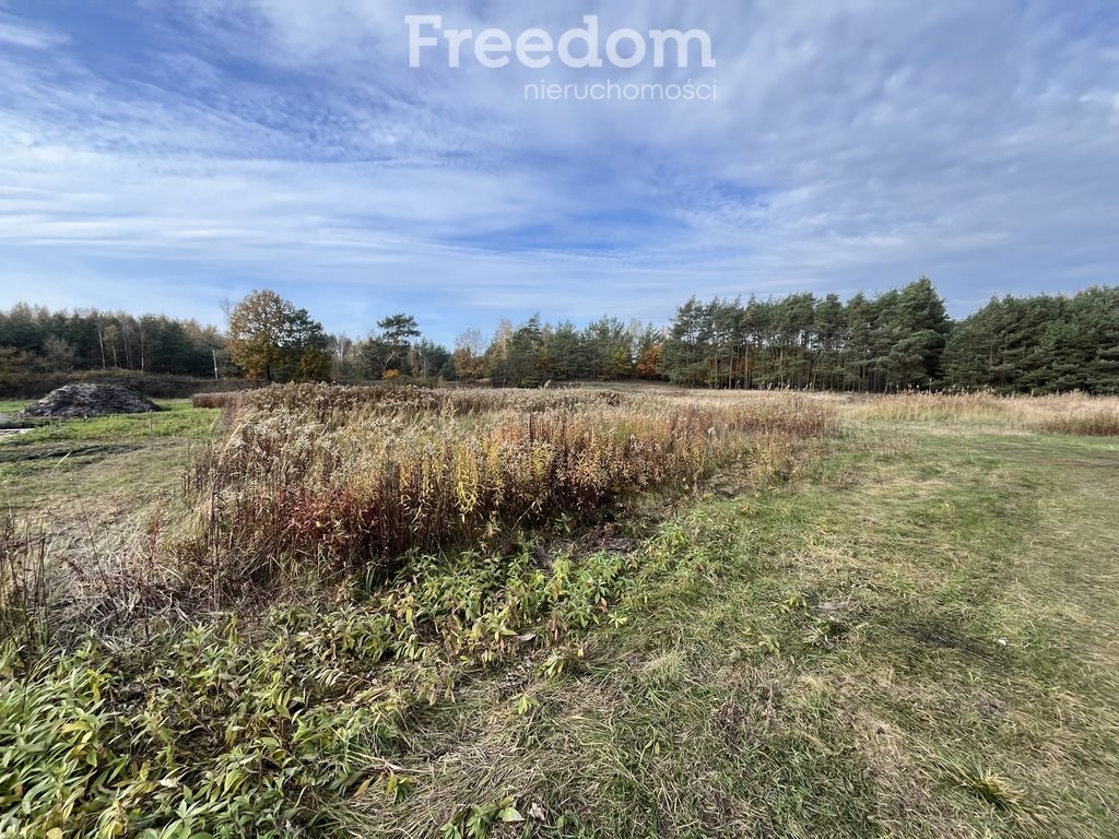 Działka budowlana na sprzedaż Cegielnik  1 683m2 Foto 2