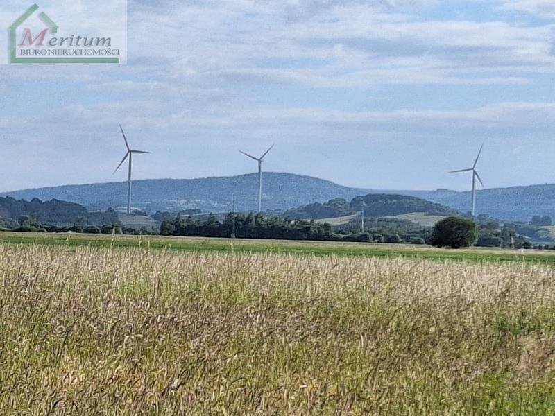 Działka rolna na sprzedaż Bzianka  3 088m2 Foto 5