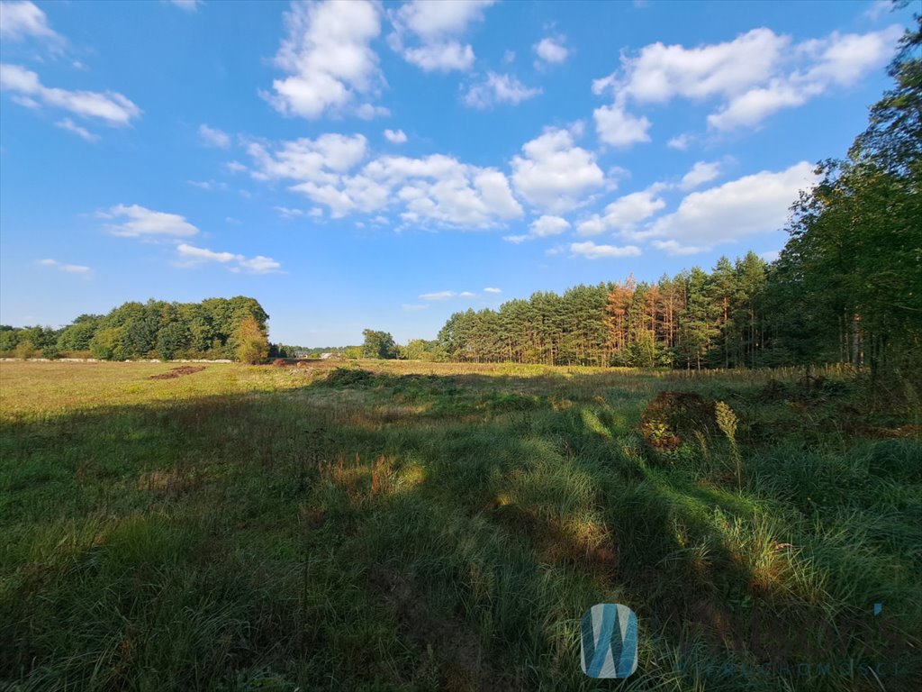 Działka budowlana na sprzedaż Bieliny  24 880m2 Foto 2