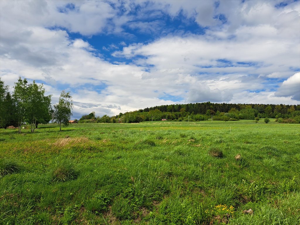 Działka budowlana na sprzedaż Lipinki  3 031m2 Foto 1