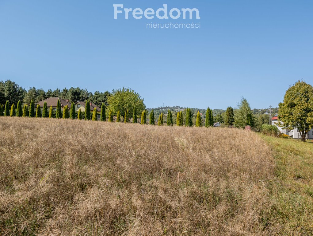 Działka budowlana na sprzedaż Lichwin  3 771m2 Foto 5