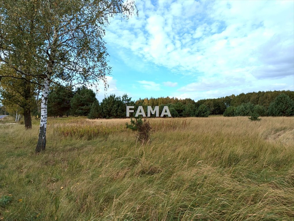 Działka budowlana na sprzedaż Włocławek, Mostki, Mostki, gm. Włocławek  1 502m2 Foto 5