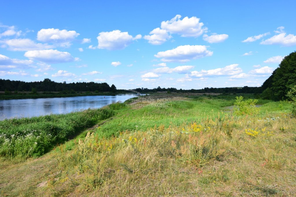 Działka budowlana na sprzedaż Czartoria  3 000m2 Foto 15