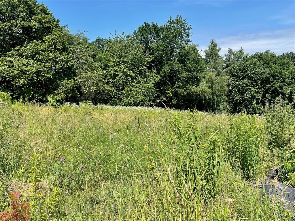 Działka budowlana na sprzedaż Żerkowice  1 050m2 Foto 2