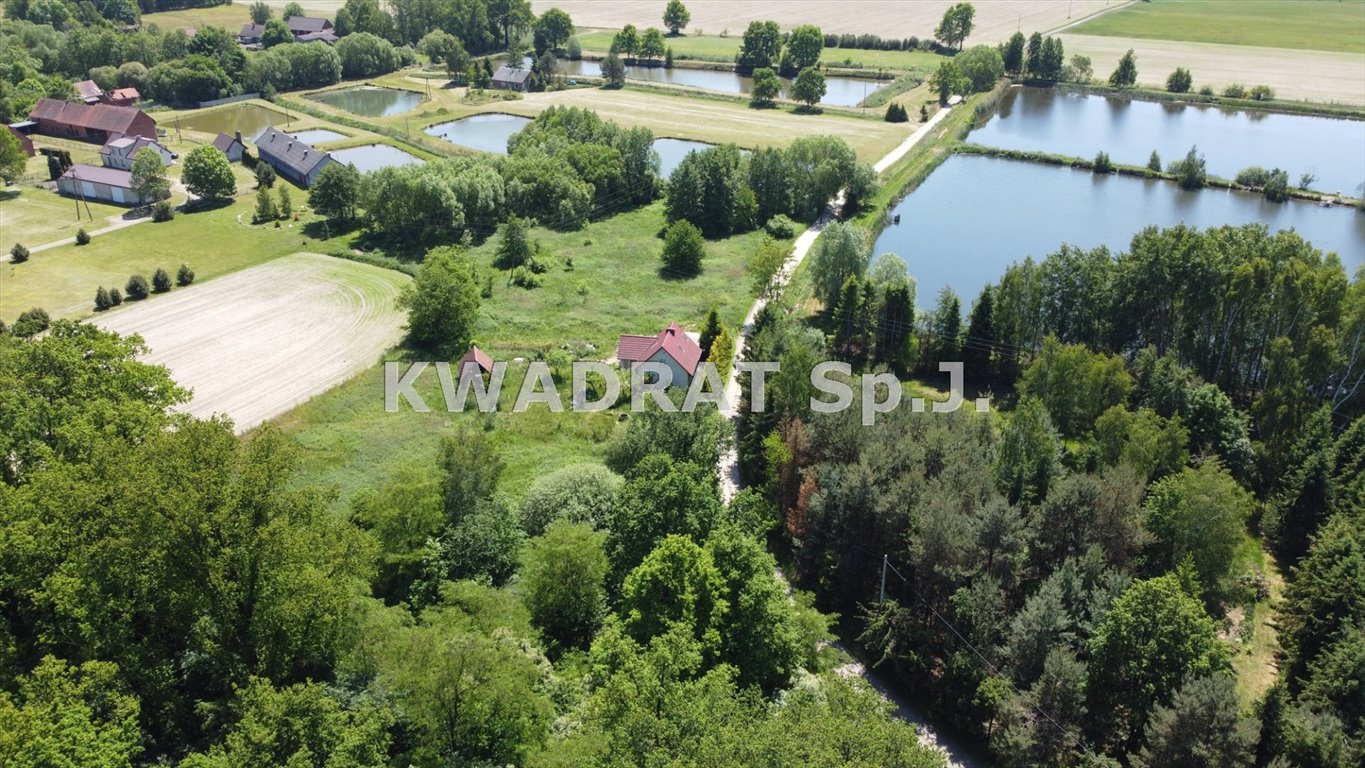 Działki budowlane z widokiem na lasy i stawy - polecam! Ligota Rybińska  1 181m2 Foto 1