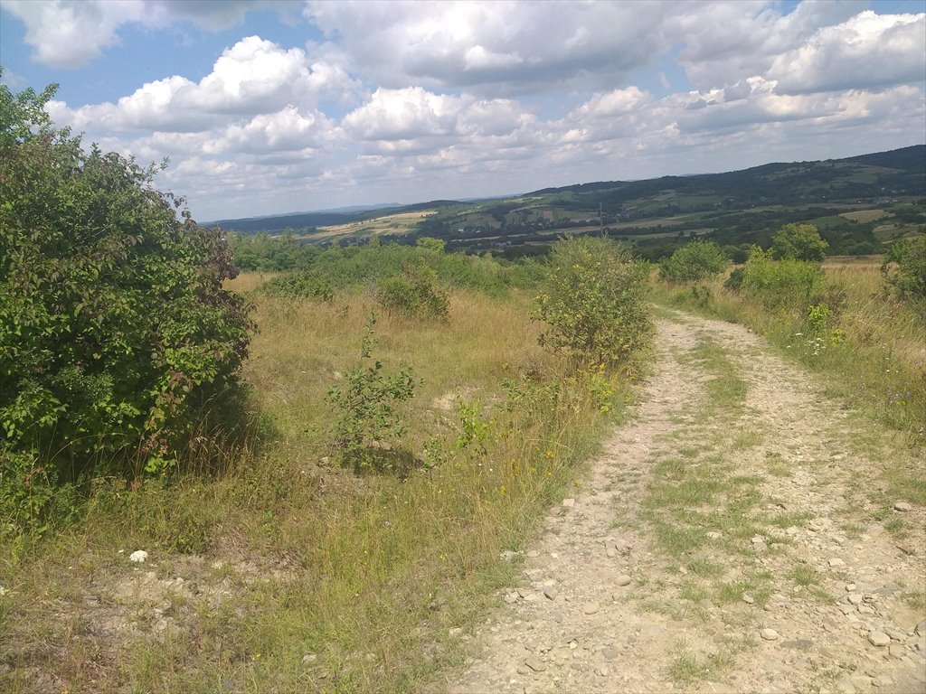 Działka rolna na sprzedaż Makowiska  9 700m2 Foto 7