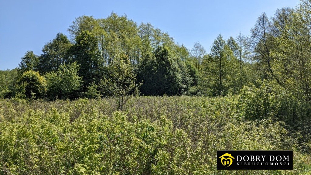 Działka rolna na sprzedaż Bierniki  4 900m2 Foto 2