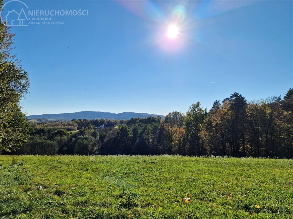 Działka budowlana na sprzedaż Błażkowa  2 559m2 Foto 4