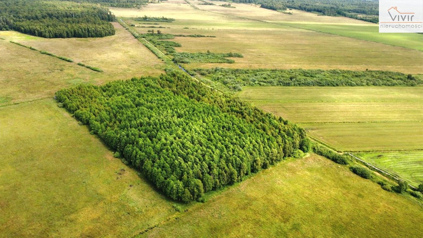 Działka inna na sprzedaż Rzuszcze  30 900m2 Foto 5