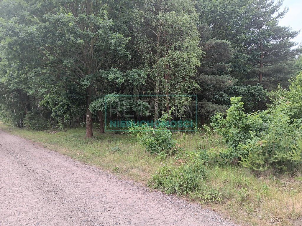 Działka budowlana na sprzedaż Budy-Grzybek  11 048m2 Foto 12