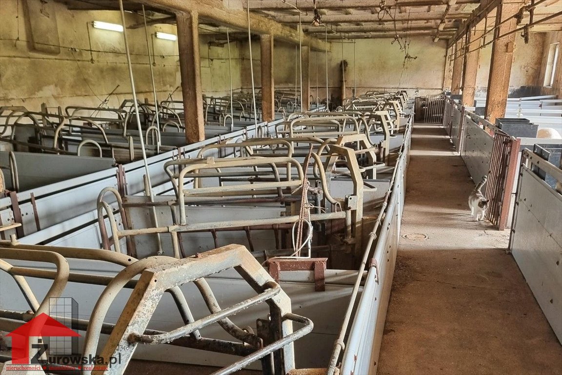 Lokal użytkowy na sprzedaż Wronin  800m2 Foto 13