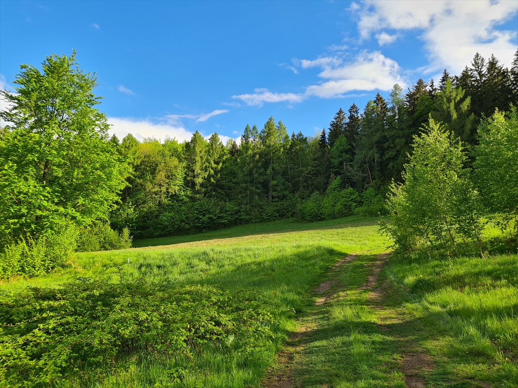 Działka budowlana na sprzedaż Podgórzyn, Nowa  1 100m2 Foto 11