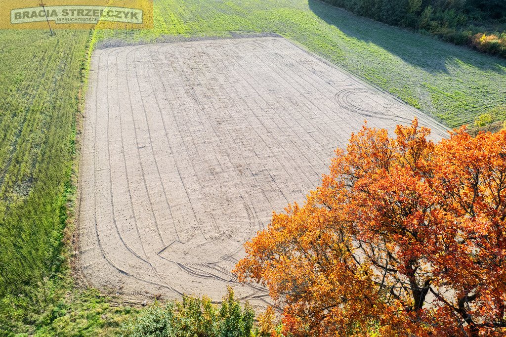 Działka budowlana na sprzedaż Winnica  1 900m2 Foto 2