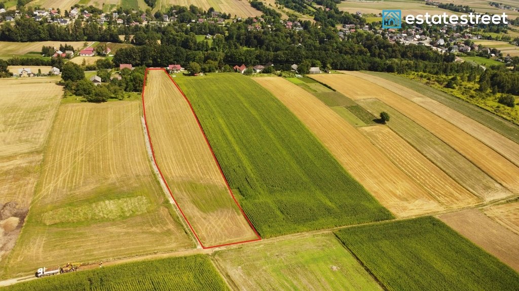 Działka budowlana na sprzedaż Lesieniec  11 206m2 Foto 7