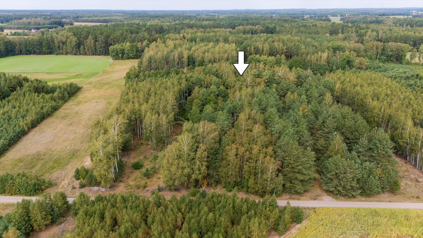 Działka budowlana na sprzedaż Wały  3 928m2 Foto 3