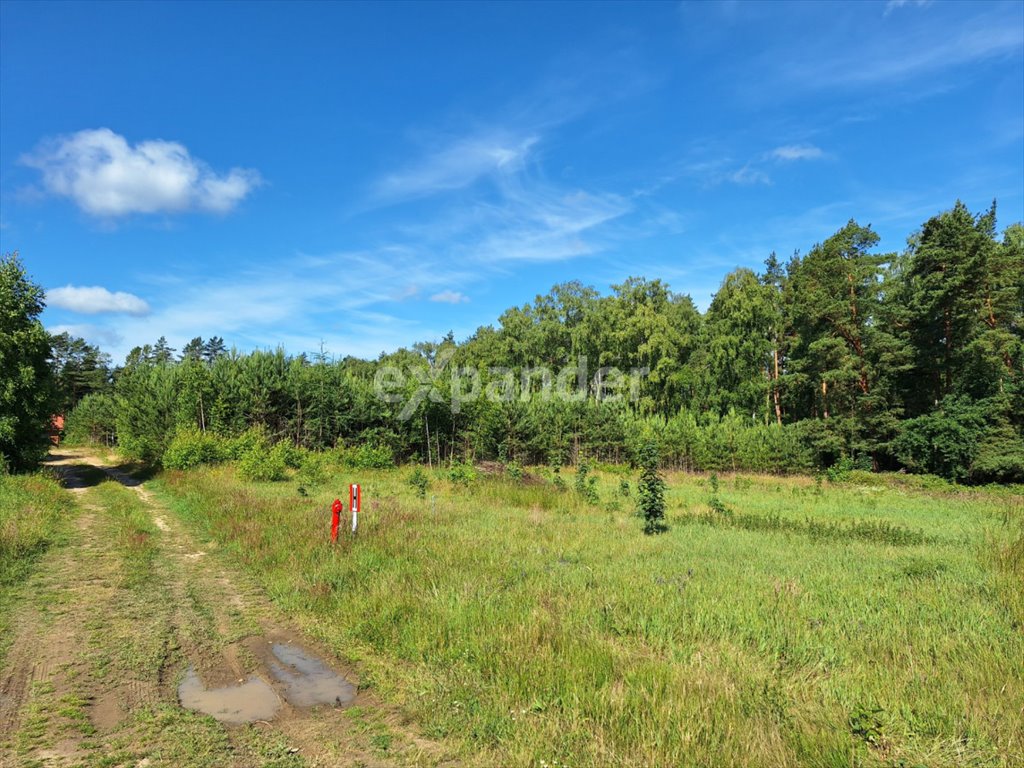 Działka budowlana na sprzedaż Odargowo, Widokowa  1 166m2 Foto 5