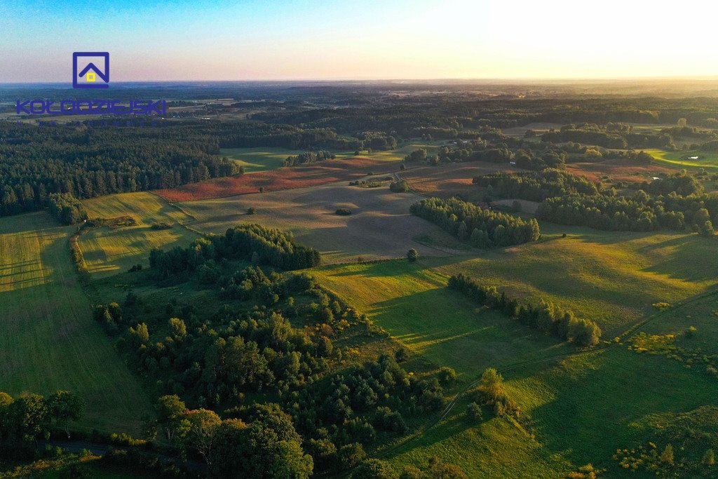 Działka rolna na sprzedaż Pupki  3 009m2 Foto 5