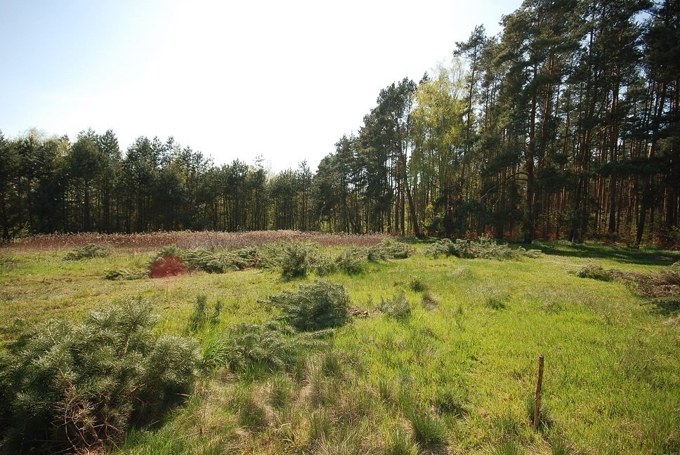 Działka budowlana na sprzedaż Grodzanów  1 000m2 Foto 1