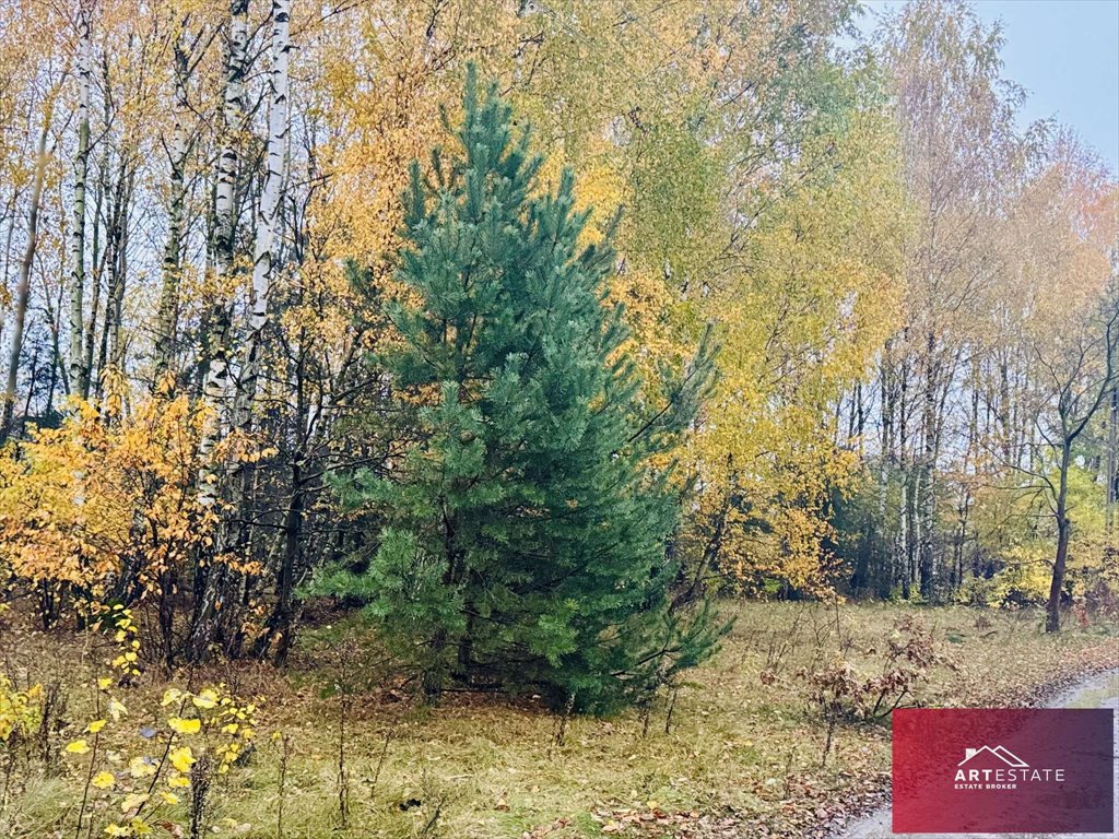 Działka 1405 m² w spokojnej okolicy z dostępem do natury Słowak, Słowak, Gwiazdy Polarnej  1 405m2 Foto 1