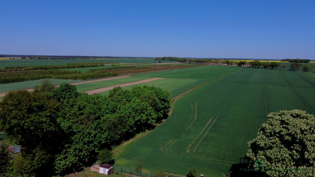 Działka gospodarstwo rolne na sprzedaż Stare Strącze  1 027m2 Foto 1
