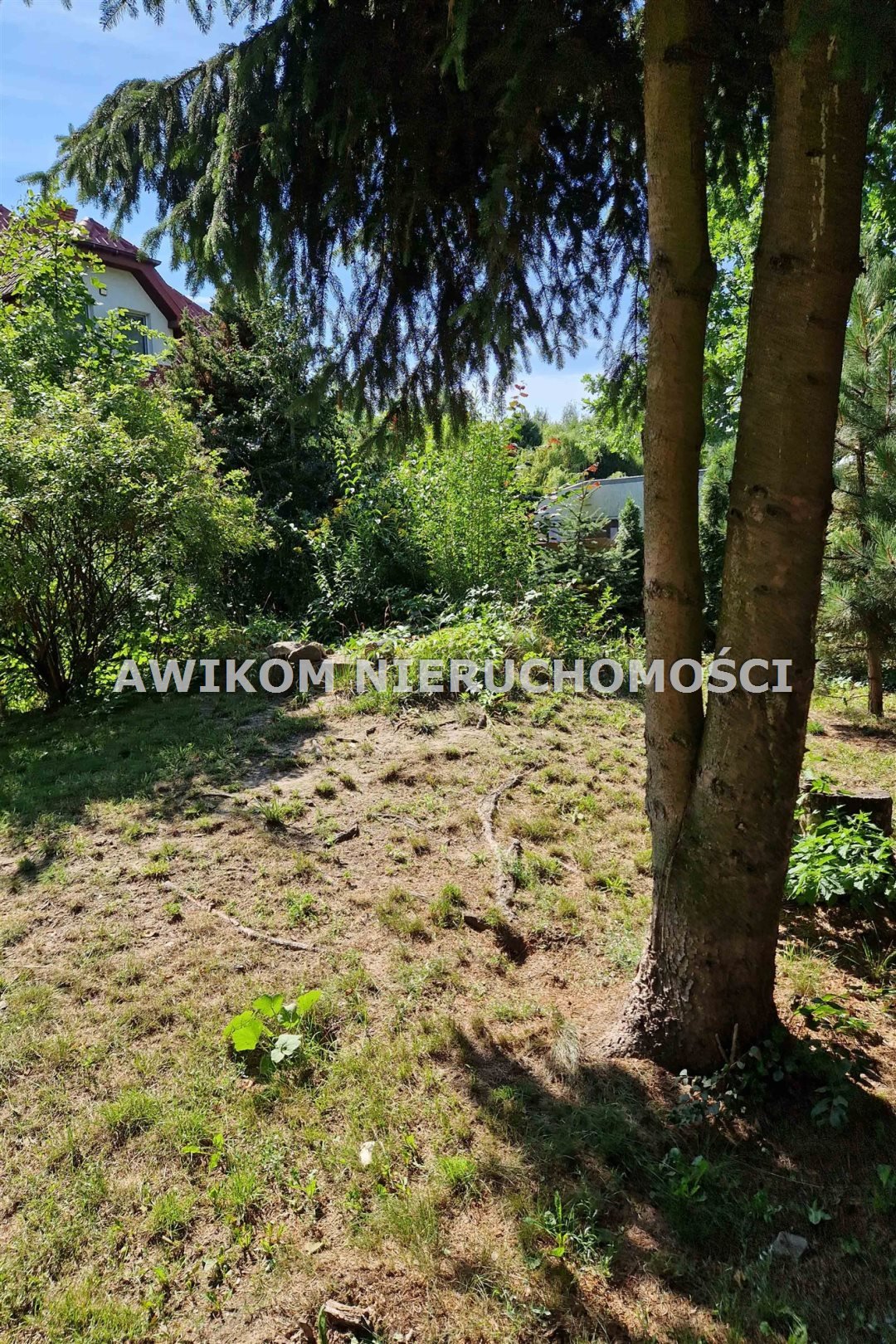 Dom na sprzedaż Leszno, Zaborów  360m2 Foto 4