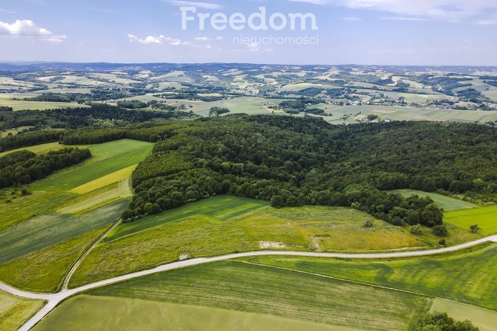 Działka budowlana na sprzedaż Wielopole Skrzyńskie  12 400m2 Foto 1