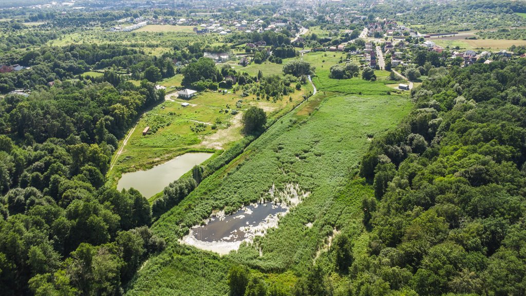 Prawie 7 ha w Żarach za 8,70 zł/m² Żary, Bociania  68 853m2 Foto 1