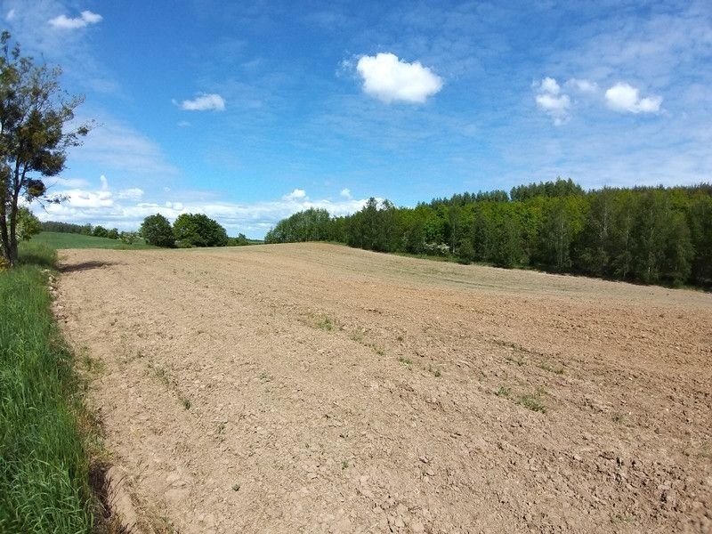 Działka rolna na sprzedaż Nowosady  19 000m2 Foto 3