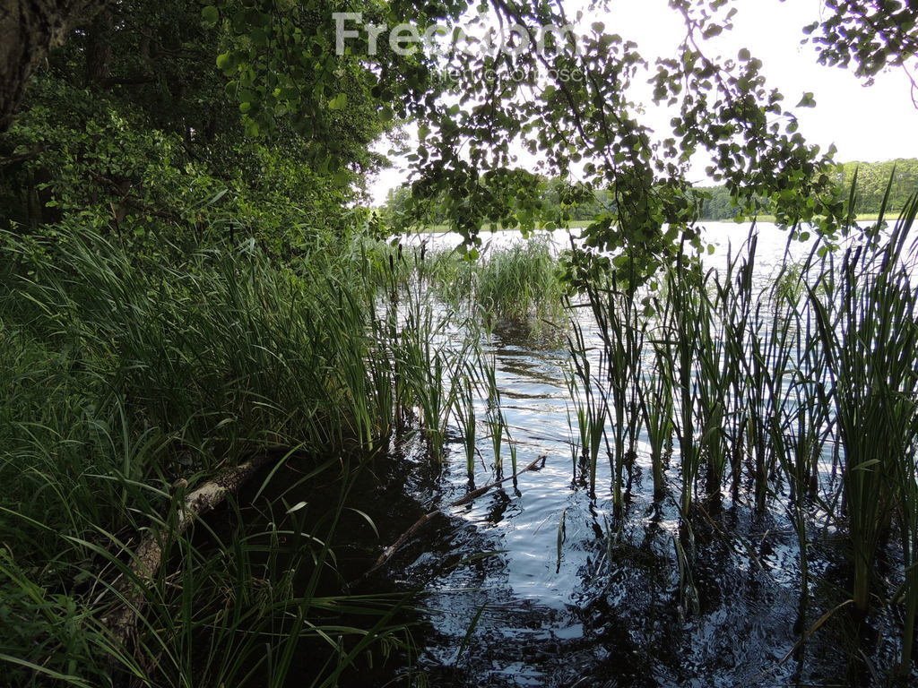 Działka inna na sprzedaż Bitkowo  3 352m2 Foto 7