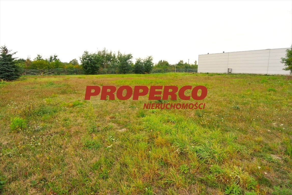 Działka 6000 m² w Pawłowicach, blisko S7 - polecam! Pawłowice  6 000m2 Foto 1