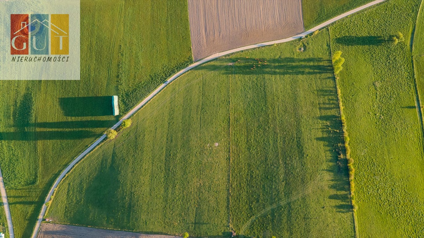 Działka rolna na sprzedaż Blanki  41 400m2 Foto 15