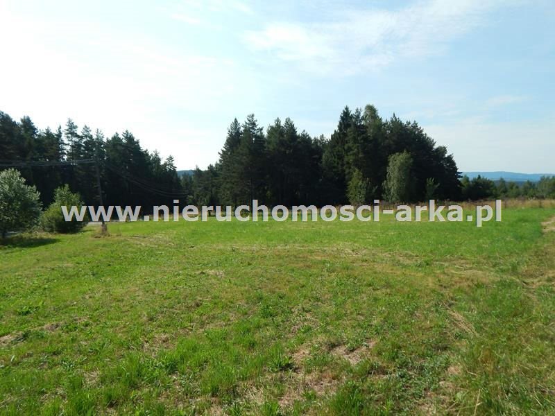 Działka budowlana na sprzedaż Kasina Wielka 1 800m2 Foto 1 Działka budowlana na sprzedaż Kasina Wielka 1 800m2 Foto 1