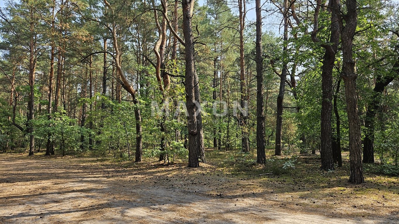 Działka budowlana na sprzedaż Józefów, Michalin  3 814m2 Foto 8