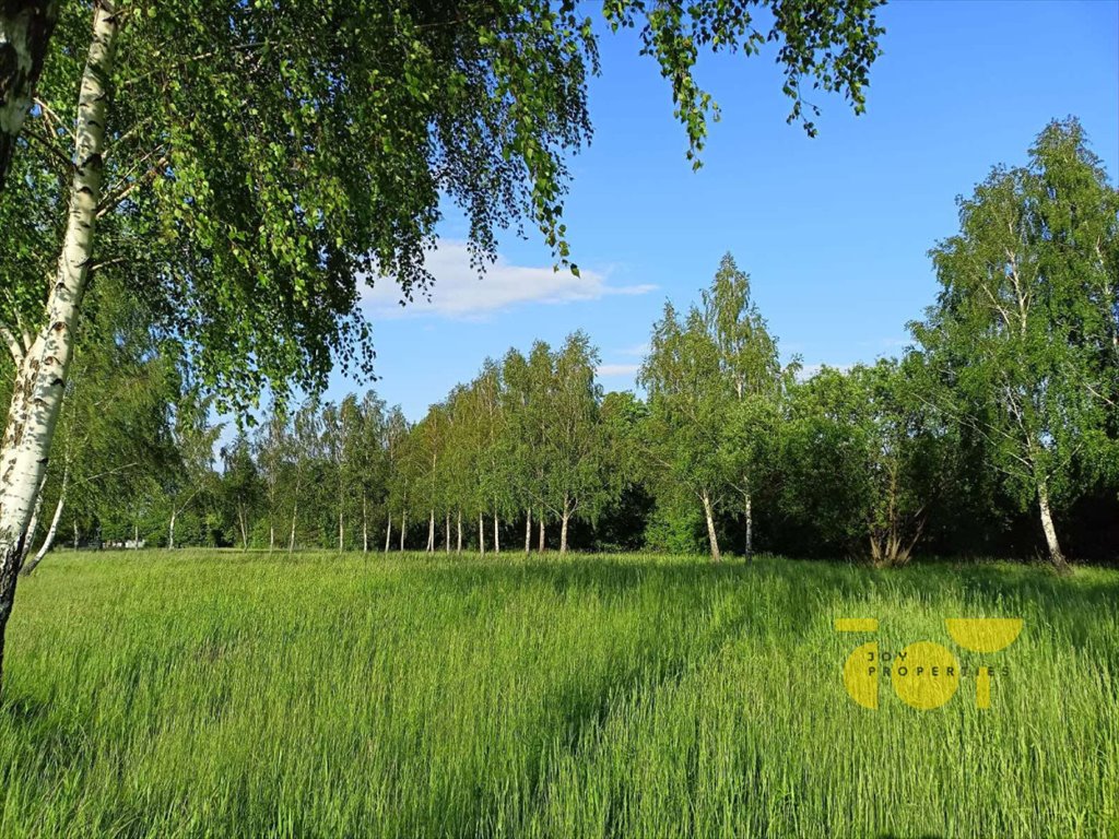 Działka budowlana na sprzedaż Słomczyn, Wilanowska  3 058m2 Foto 10