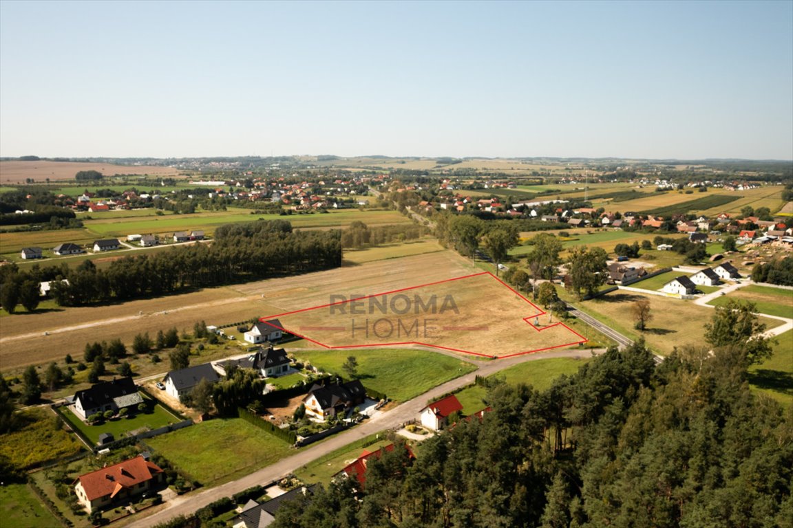 Działka inwestycyjna 14 282 m² pod usługi i zabudowę Kobylice, Leśna  14 282m2 Foto 1