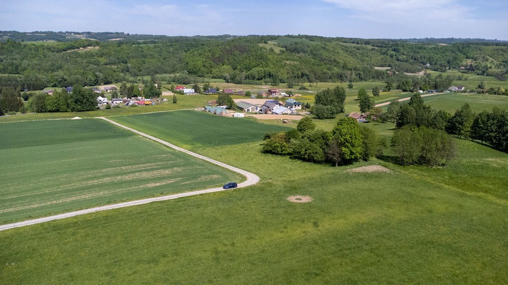 Działka budowlana na sprzedaż Nowy Borek  10 155m2 Foto 10