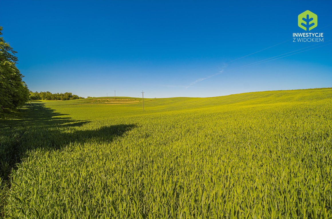 Działka budowlana na sprzedaż Kwidzyn, Dzialka nad jeziorem 80min od Gdanska  498m2 Foto 8