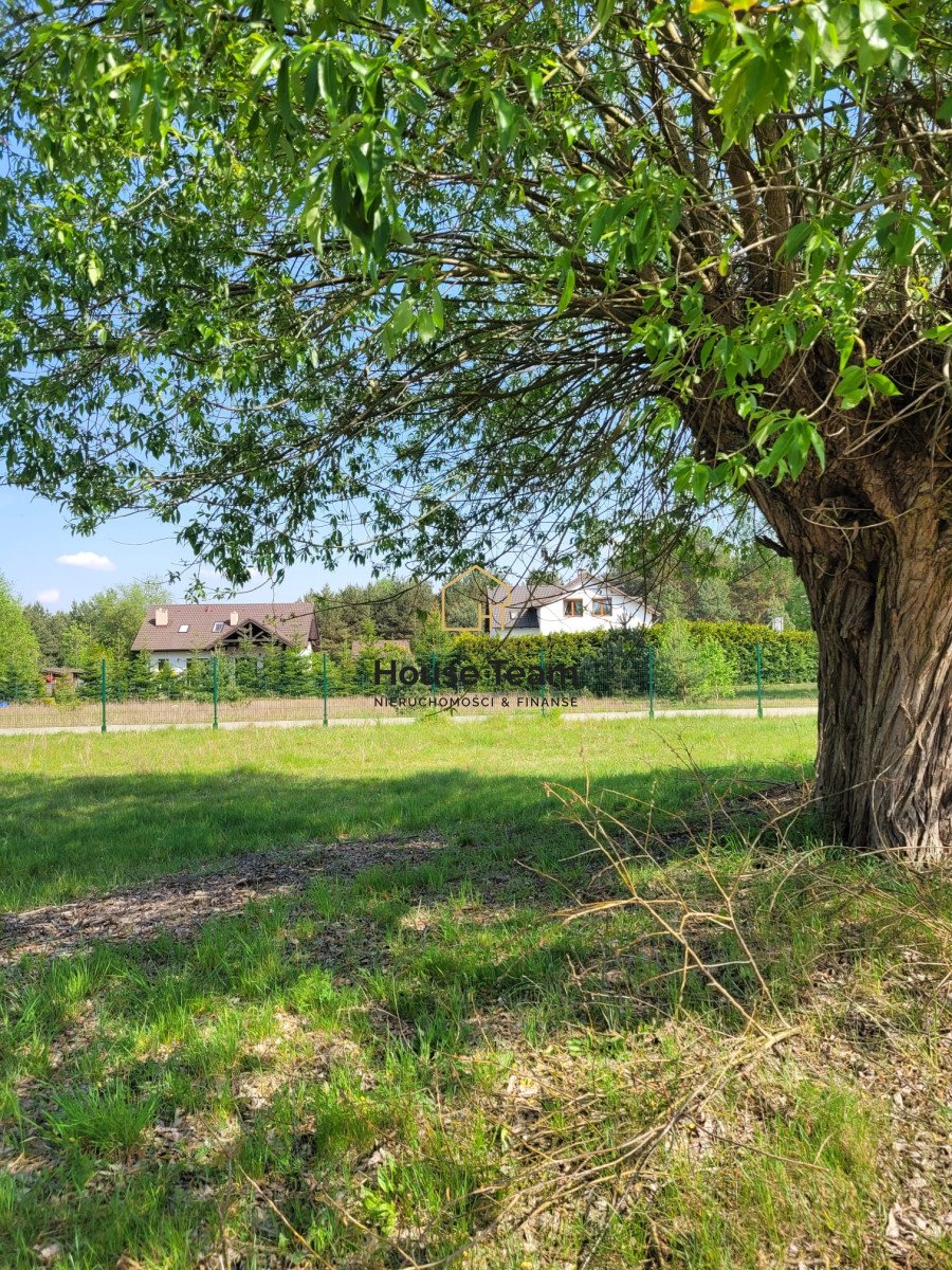 Działka rolna na sprzedaż Małe Rudy, Szlak Królewski  3 005m2 Foto 1