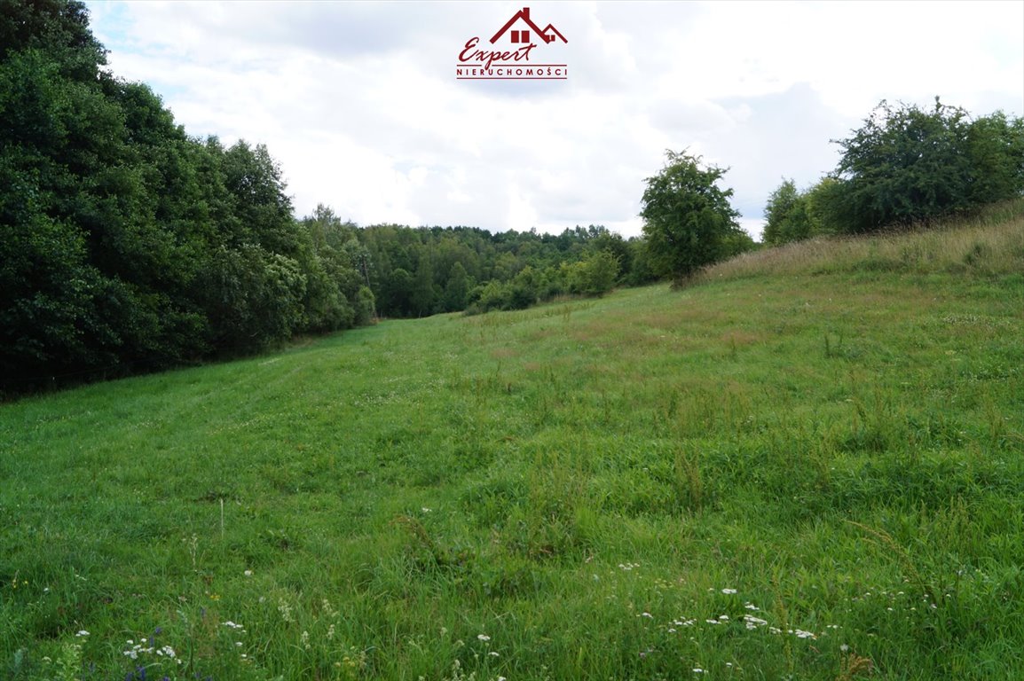 Działka rolna na sprzedaż Tchórzanka  58 000m2 Foto 6