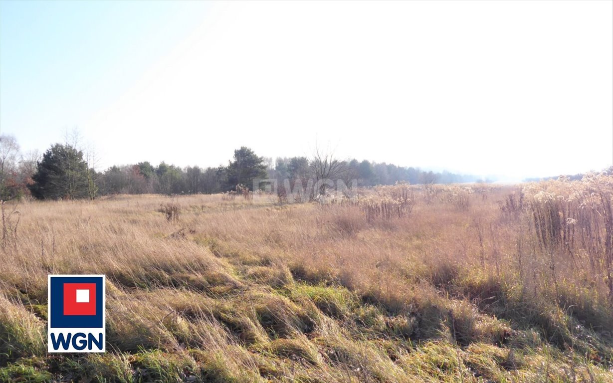 Działka 34 507 m² w Częstochowie - możliwość przekształcenia Częstochowa, Mirów, Morska  34 507m2 Foto 1