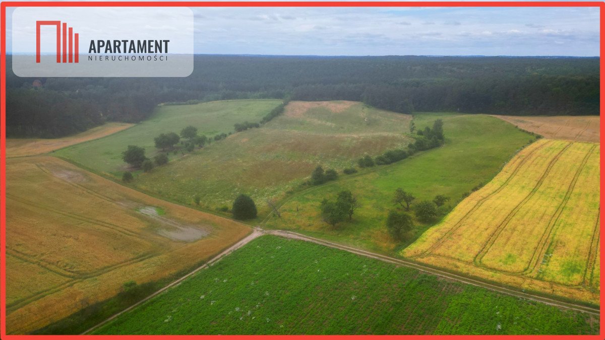 Działka siedliskowa 37 610 m² z widokiem na Kwidzyn Opalenie  37 610m2 Foto 1