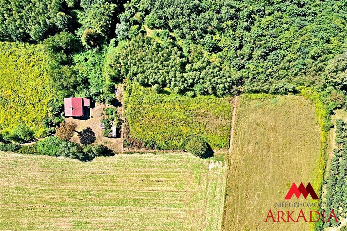 Działka budowlana na sprzedaż Dobrzyń nad Wisłą, Bachorzewo  3 099m2 Foto 8