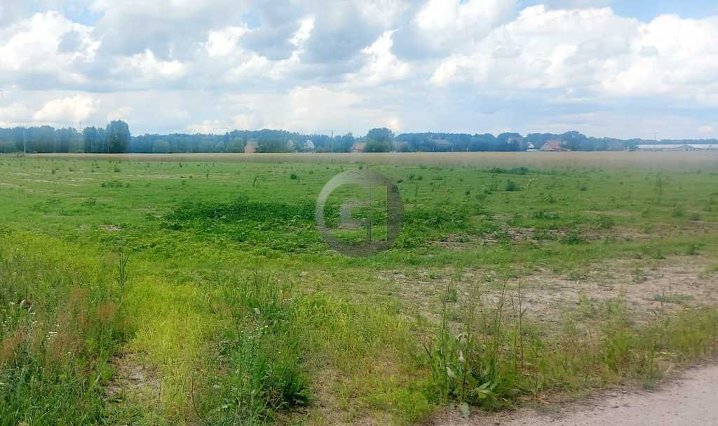 Działki 1200 m² przy lesie, media, utwardzona droga - polecam! Dziersławice  1 200m2 Foto 1