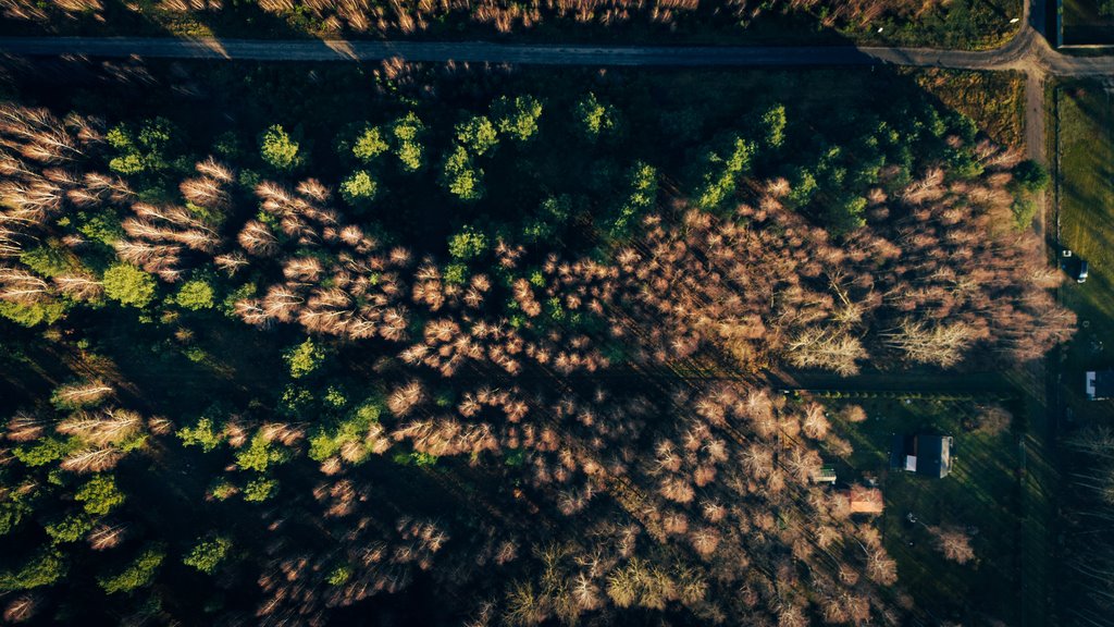 Działka budowlana na sprzedaż Konarzew  1 391m2 Foto 5